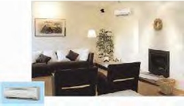 Professionell-Wandgert